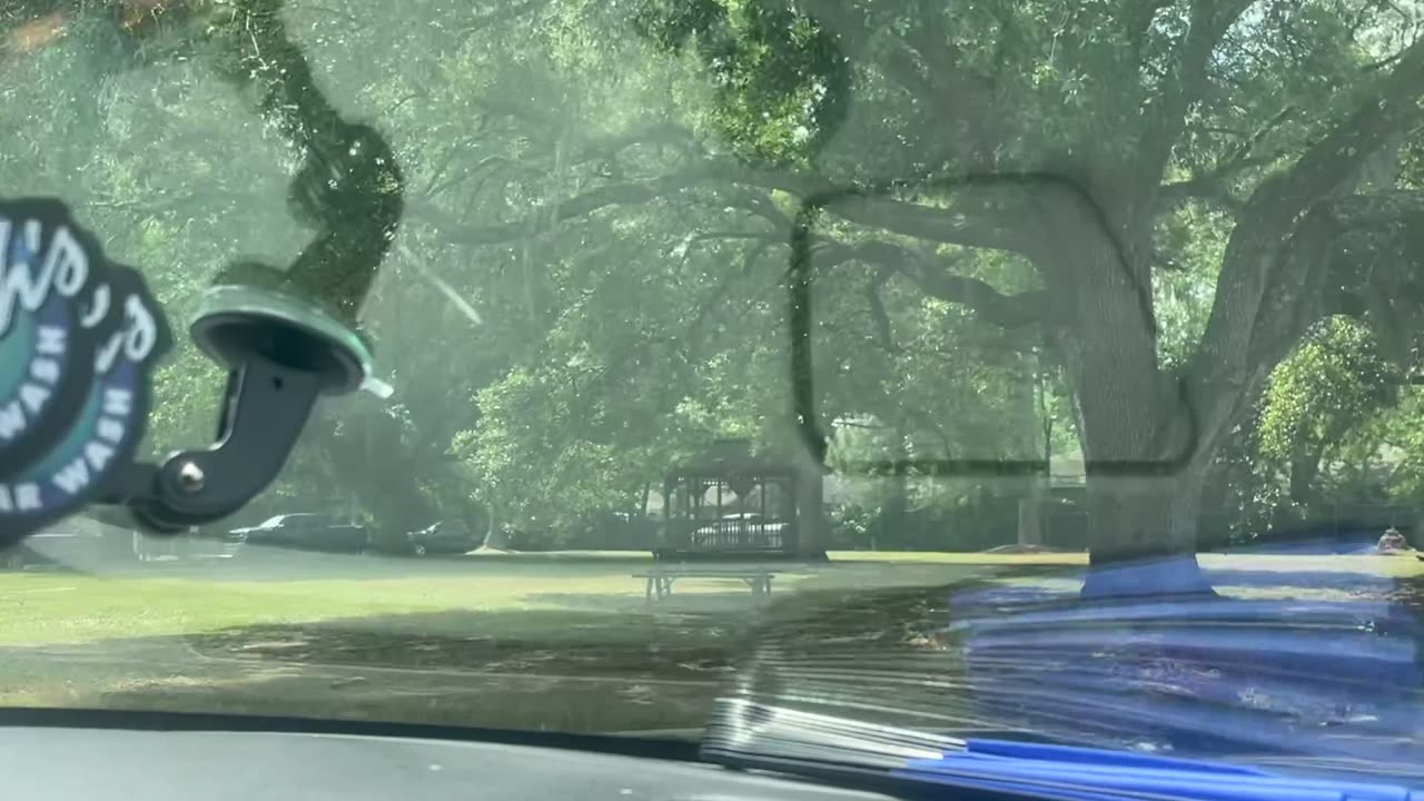 Woodley Terrace Bust