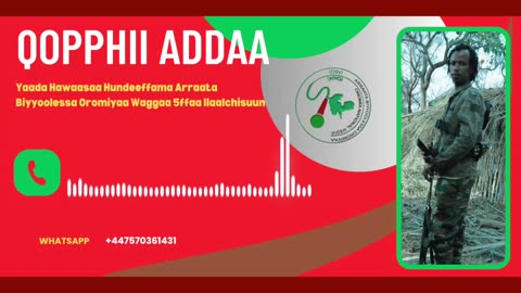 Qophii Addaa ONM-ABO Waxaabajjii 11-2025 itti dhiyaadhaa!