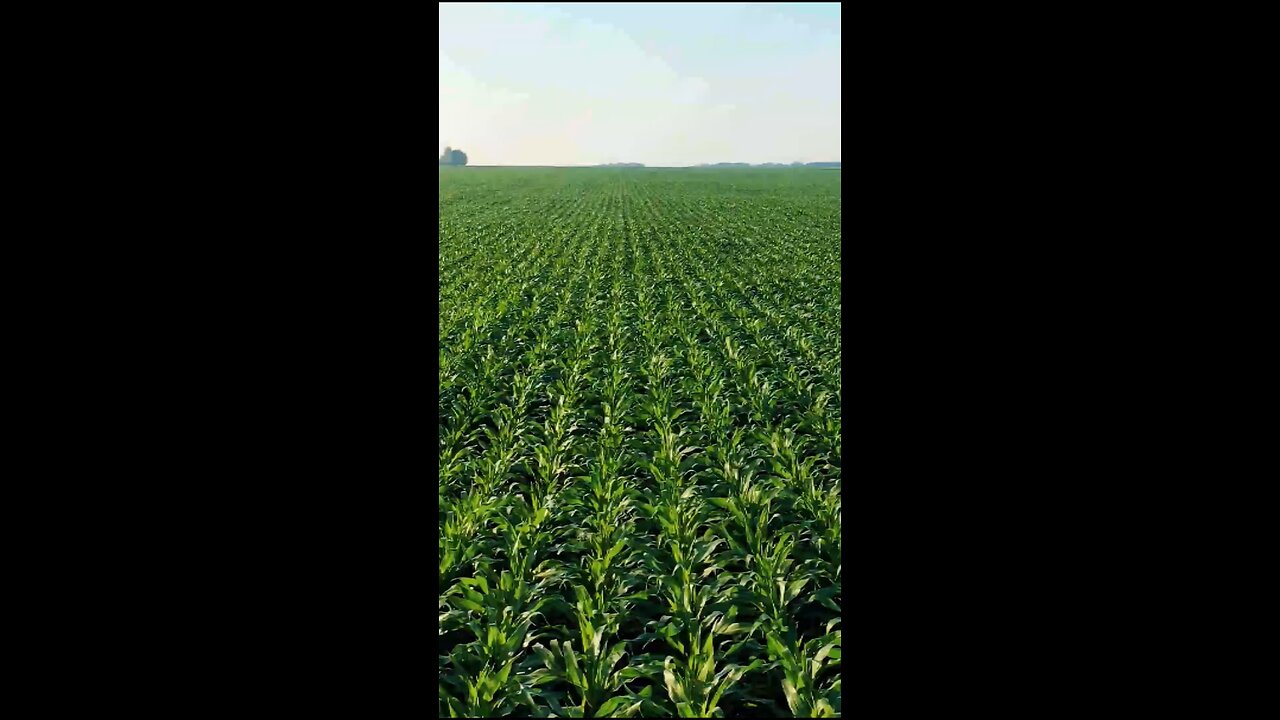 Daily Verse May 3rd 2025