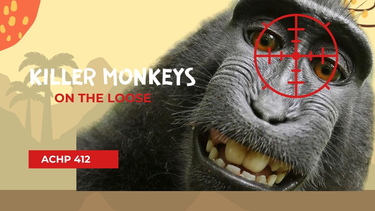 Episode 412 Killer Monkeys At Large