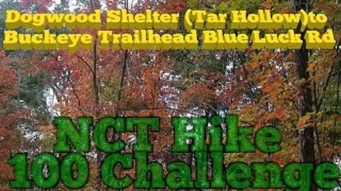 North Country Trail - Dogwood shelter to Buckeye trailhead Blue Lick rd