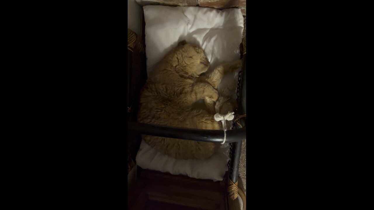 Sleeping home.