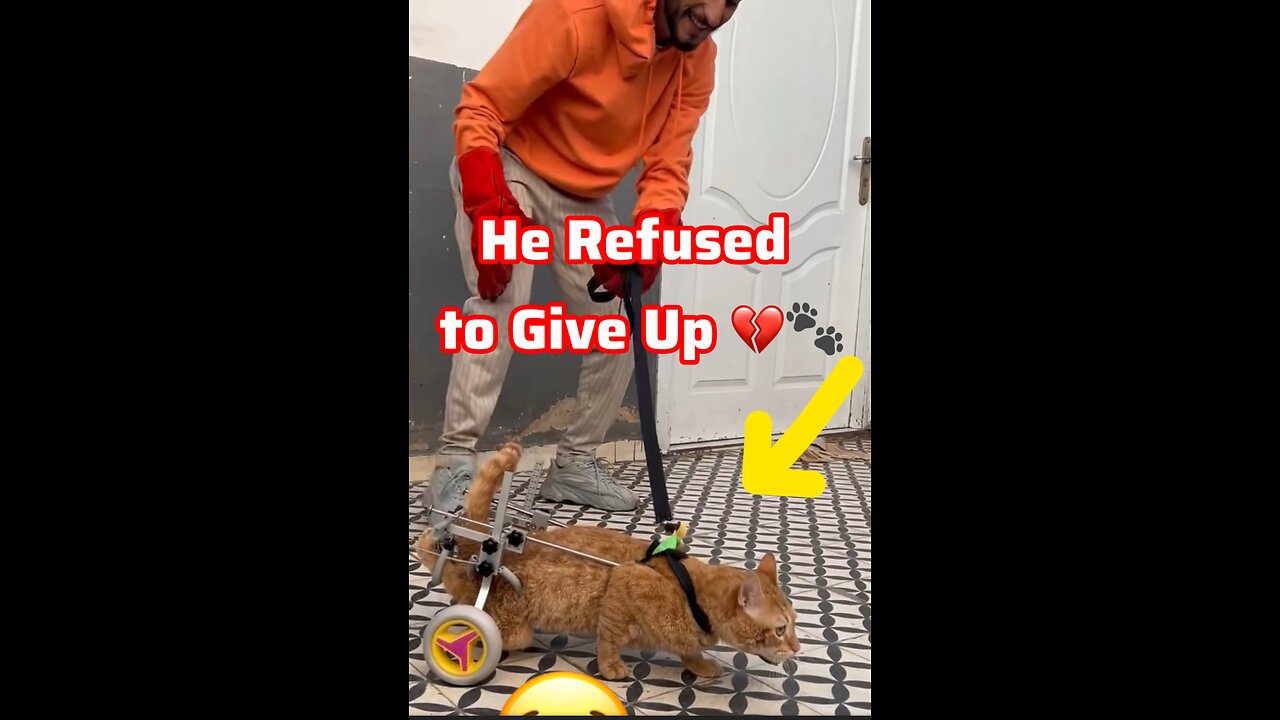 He Refused to Give Up 💔🐾