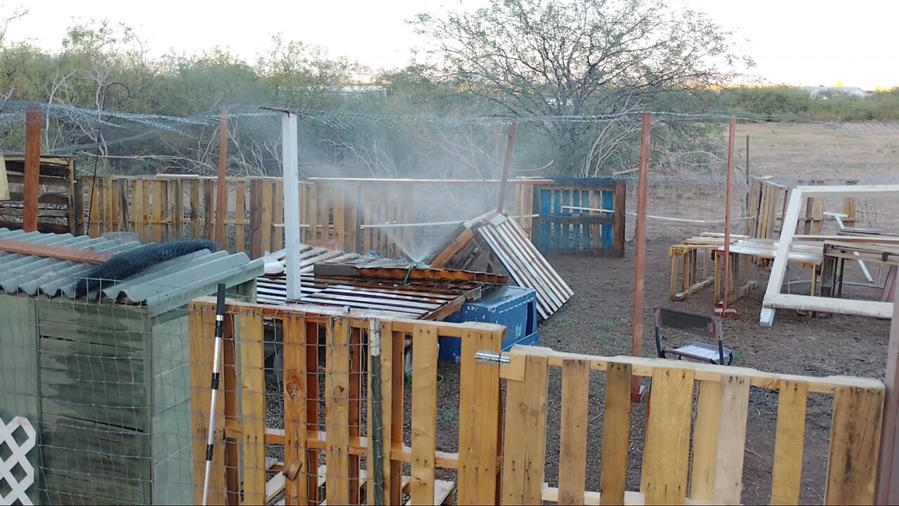 chicken yard