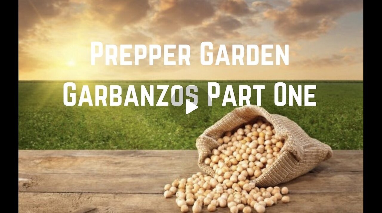 Prepper Garden: Grow Garbanzos Part One