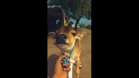 cute 🥰