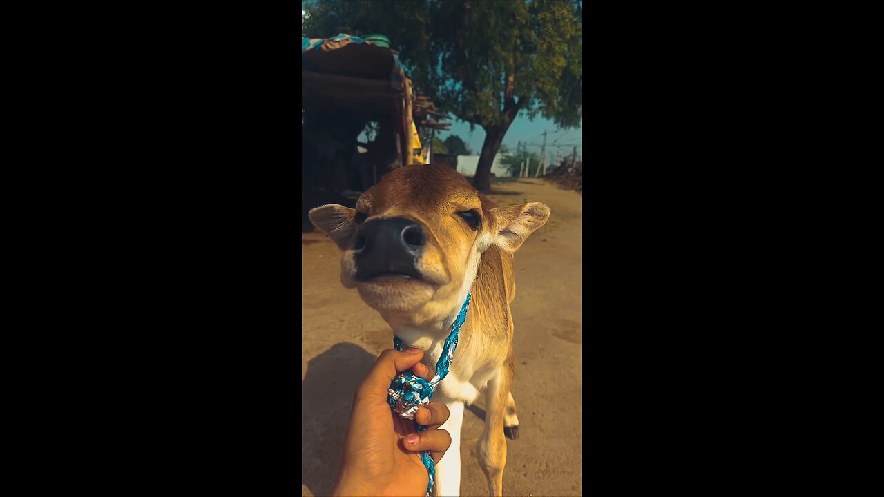 cute 🥰