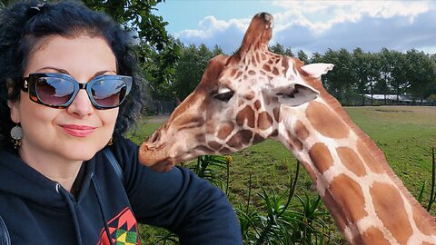 Dublin Off the Beaten Path: Episode 2: Dublin Zoo, Oscar Wilde's Statue & Museum, and Brazen Head
