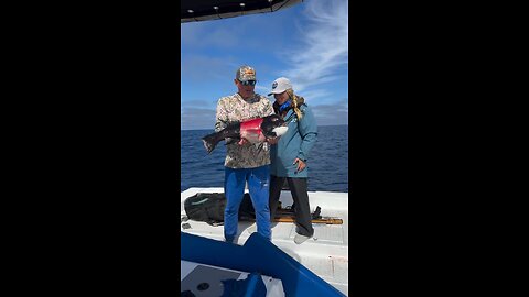amazing fish