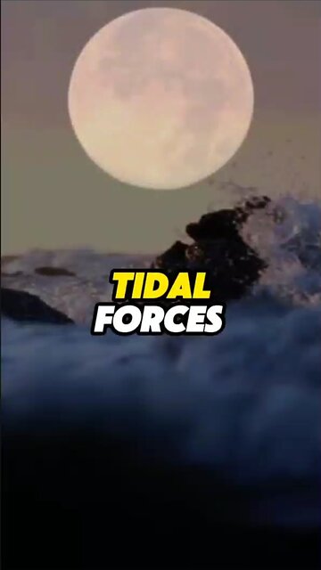 Tidal Forces