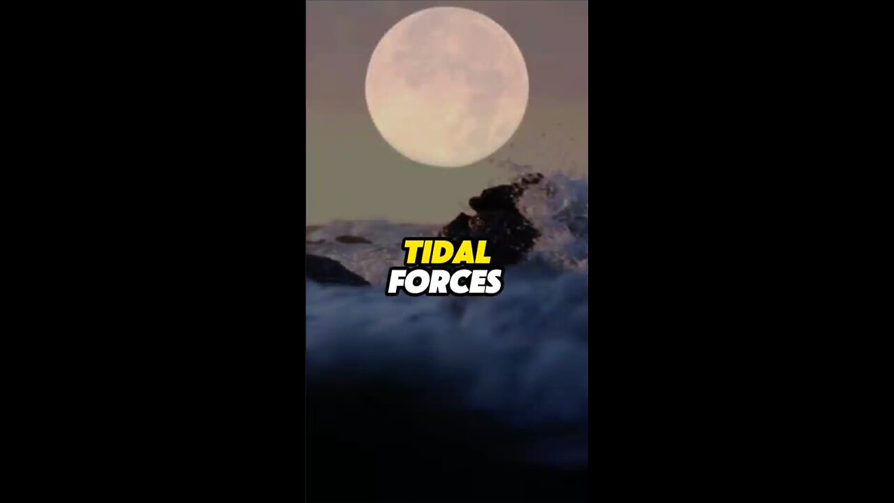 Tidal Forces