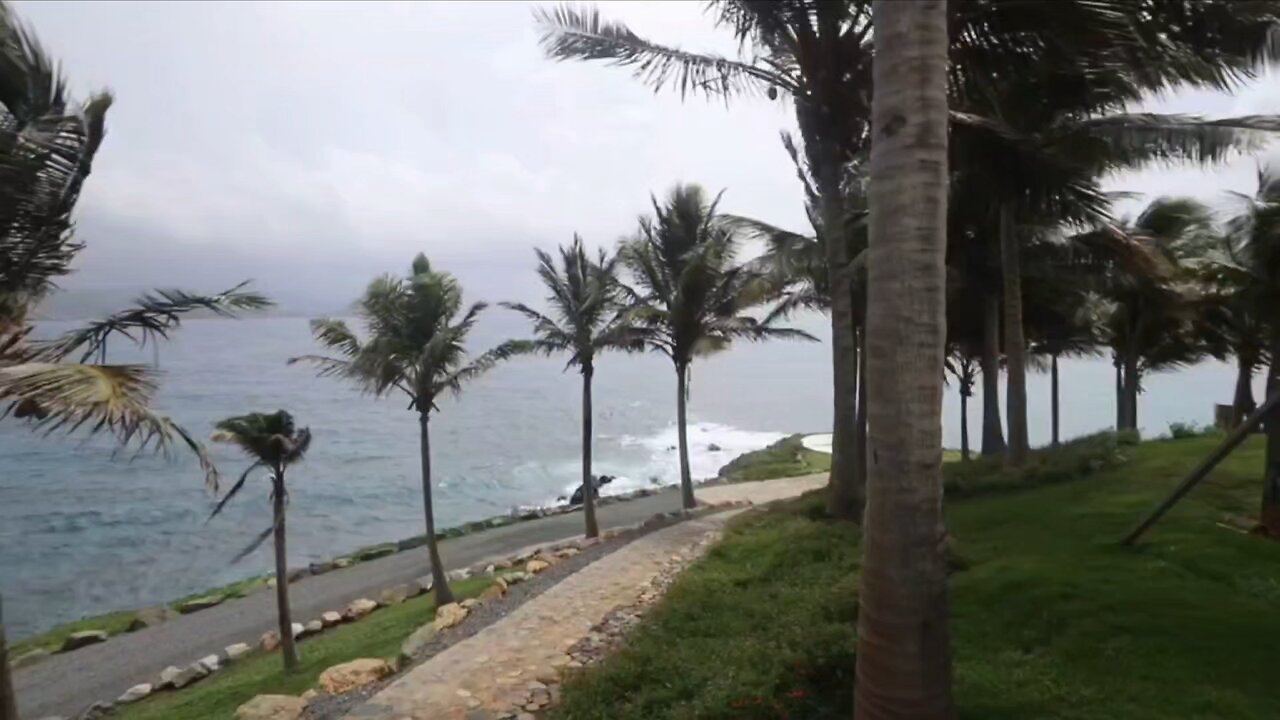 Photos and videos have been published from Epstein's island