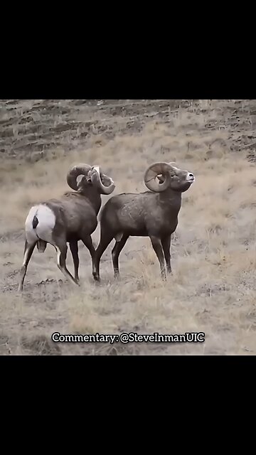 They Forgot What They Were Fighting About