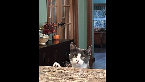 Episode 3019 CWSA 11/15/25