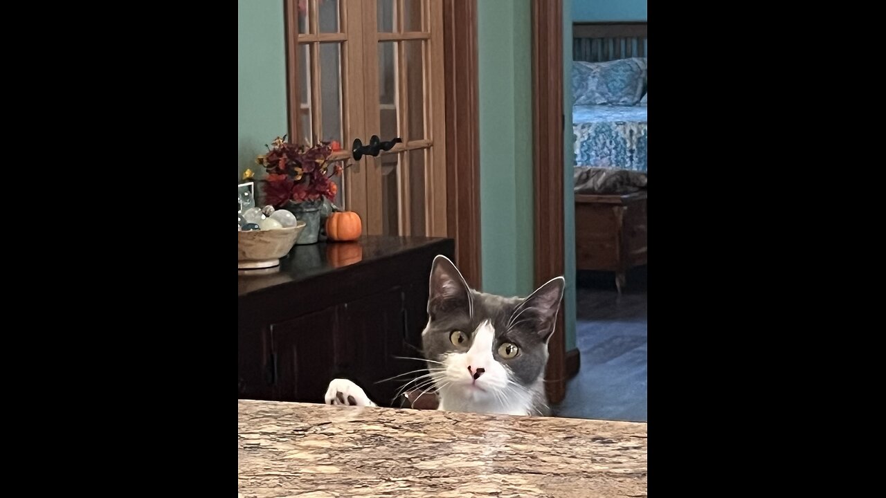 Episode 3019 CWSA 11/15/25