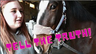 WHAT Happened To Your HORSE Sophie