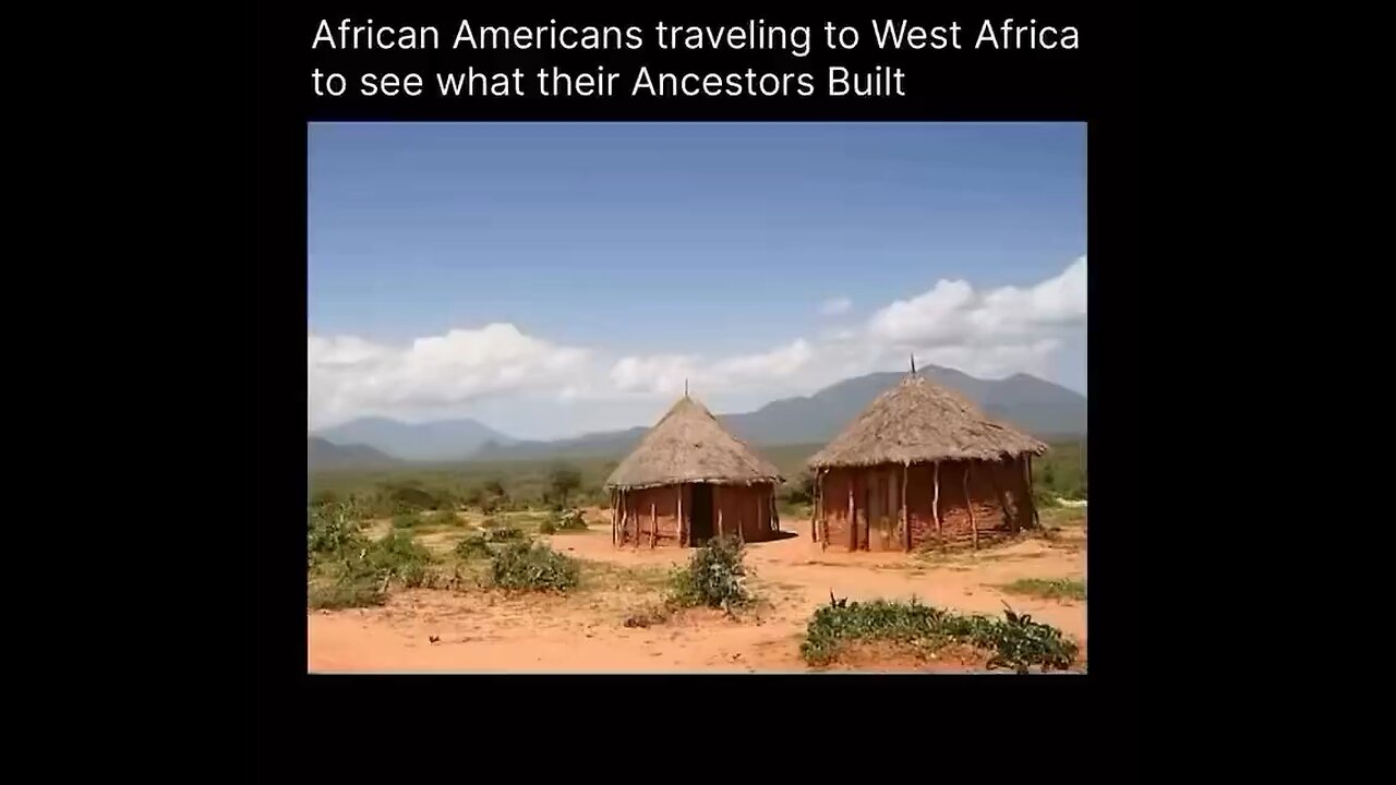 The Difference Between Black & White Americans💯🤫