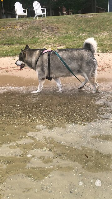 Tuesday June 24, They delight in doing everything the Lord wants.