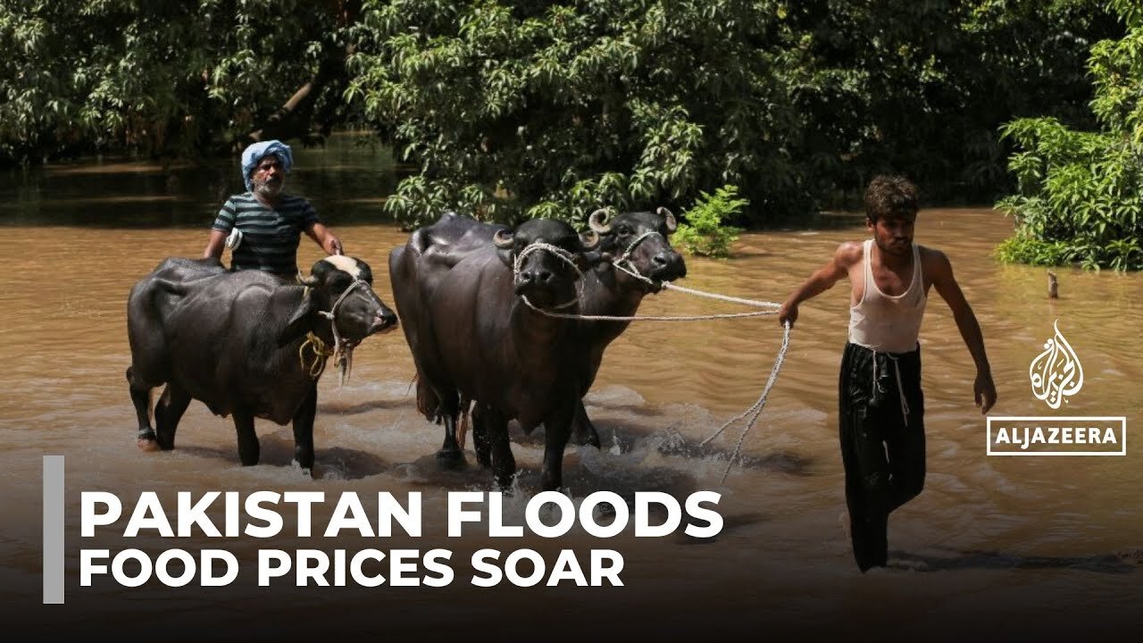 Floods in Pakistan’s Punjab devastate farms and drive food prices higher