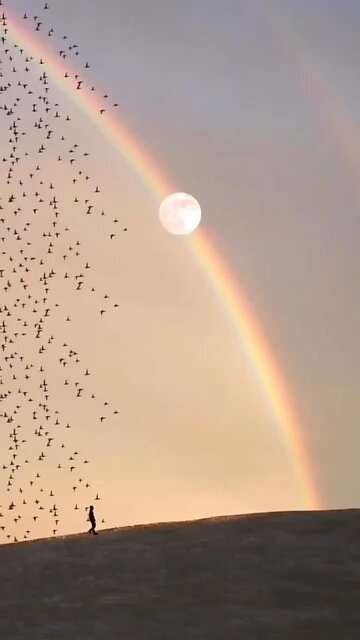 Happy Summer Solstice🌞