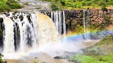 ነጭ ነጯን ከዘመዴ ጋር - ቀጥታ ስርጭት | Zemede May 04, 2025