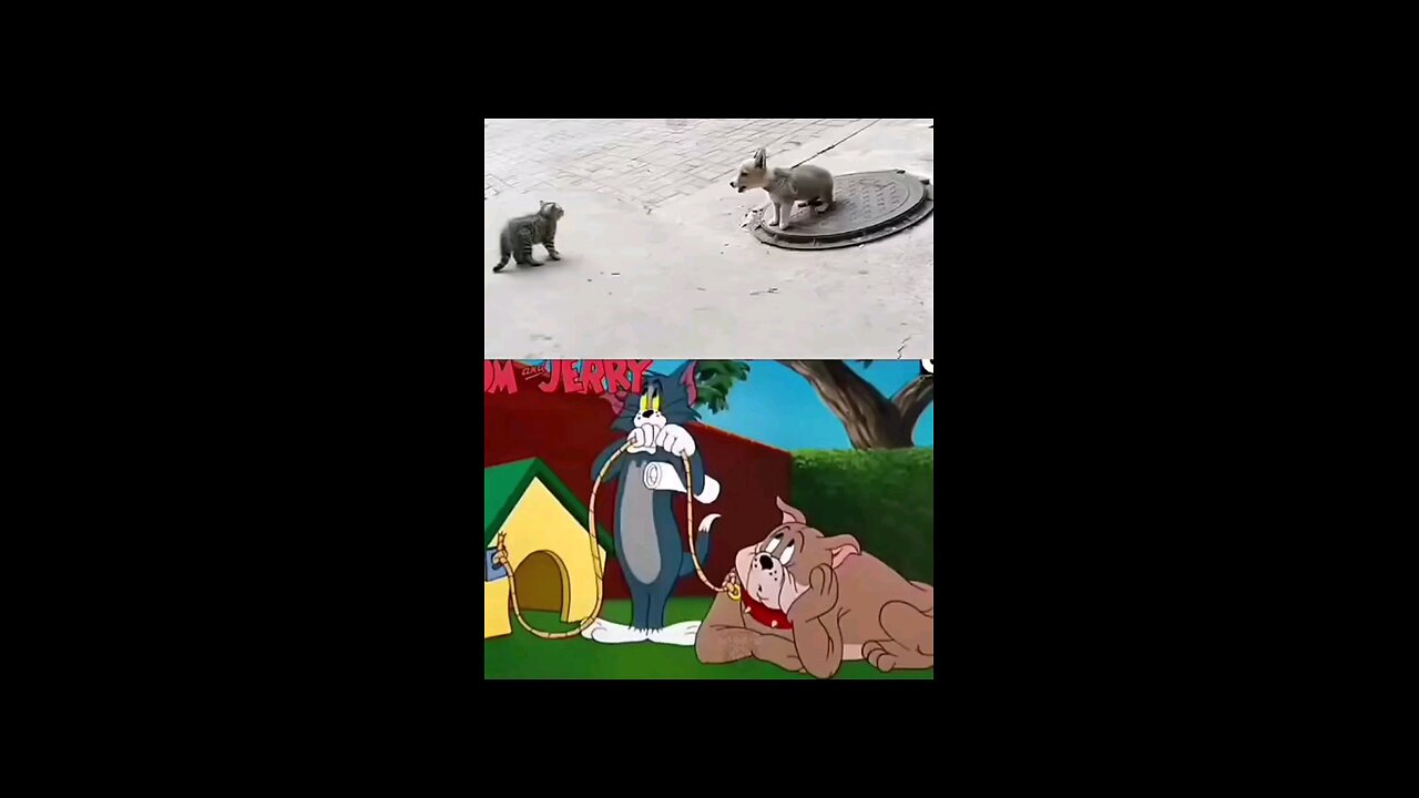 gg