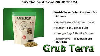 Grubterra Soldier Fly Larvae Chicken Treats