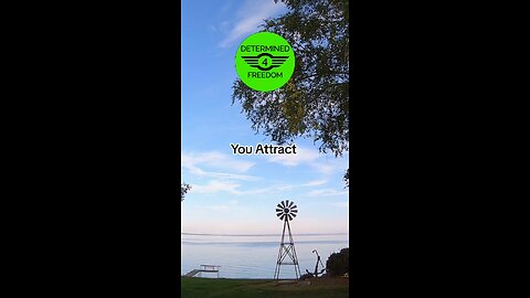 You Attract...