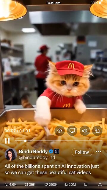 Ai video : cat working in McDonald’s