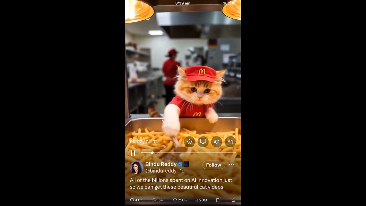 Ai video : cat working in McDonald’s