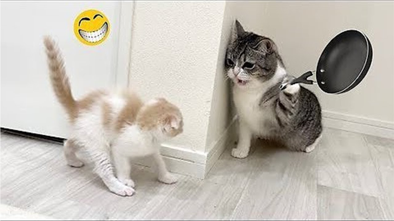 2025βs Funniest Dogs & Cats π You Wonβt Stop Laughing! | You Laugh You lose ππΈπΉ #Ep48