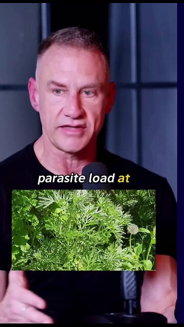 Eliminate Parasites + Improve Gut Health! 😲🧠 Boost energy, digestion & mental clarity