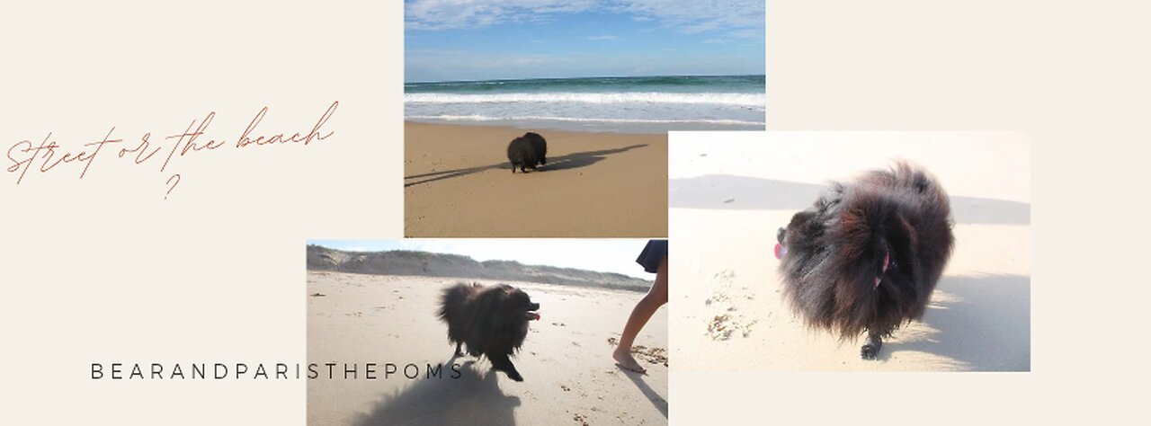 Which one? 🤔 street or beach?