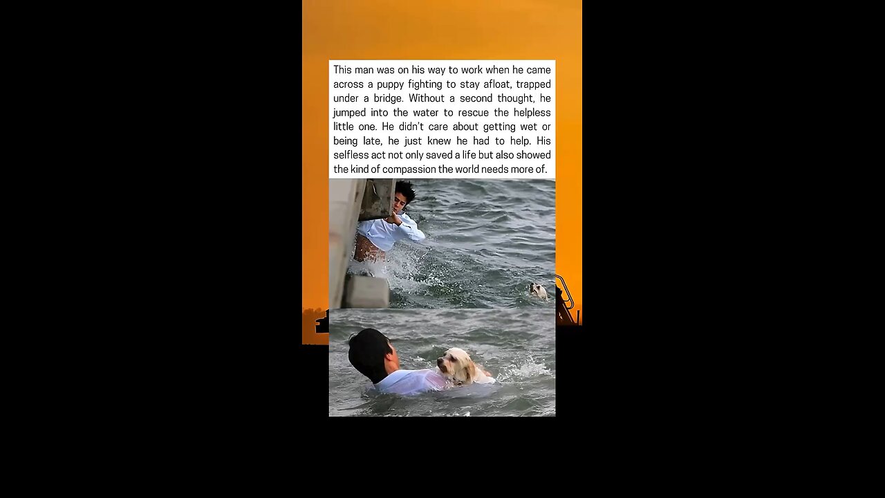 Man Dives Into River to Save Drowning Puppy