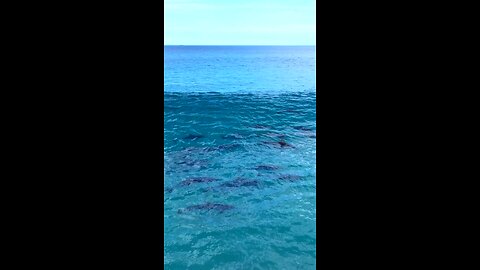 lovely sea