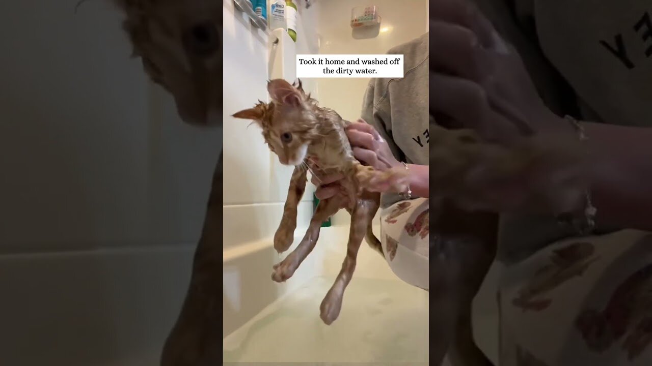 The kitten was saved from the rain and the man saved him and took care of him