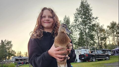 🍁 599 - TOLERANCE IS DEAD