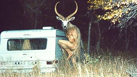 TOP 10 UNEXPLAINED DISCOVERIES MADE BY PARK RANGERS IN REMOTE AREAS