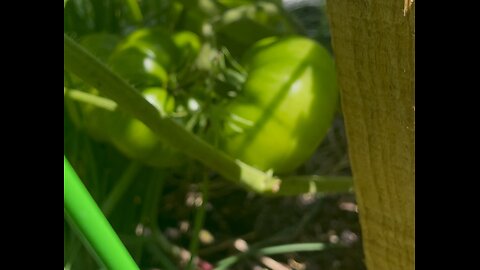 Pennie Fay Live Garden Tour 2025