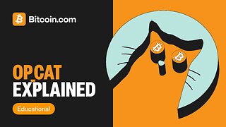 What Is Bitcoin OP_CAT? | The Most Talked-About Bitcoin Upgrade in 2025