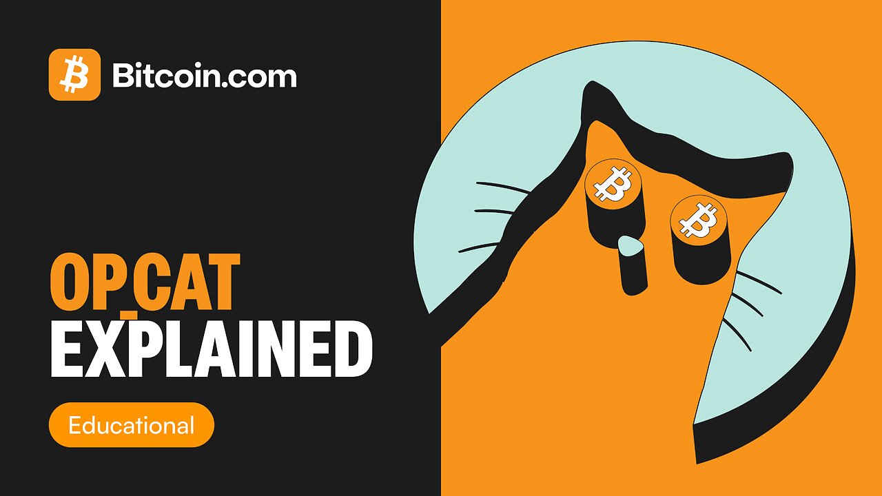 What Is Bitcoin OP_CAT? | The Most Talked-About Bitcoin Upgrade in 2025