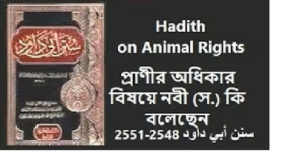 প্রাণীর অধিকার বিষয়ে হাদীস।