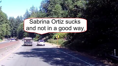 Not Another Severance in the Wall: Trafficality Road Report