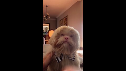 What would you name him?2🤗