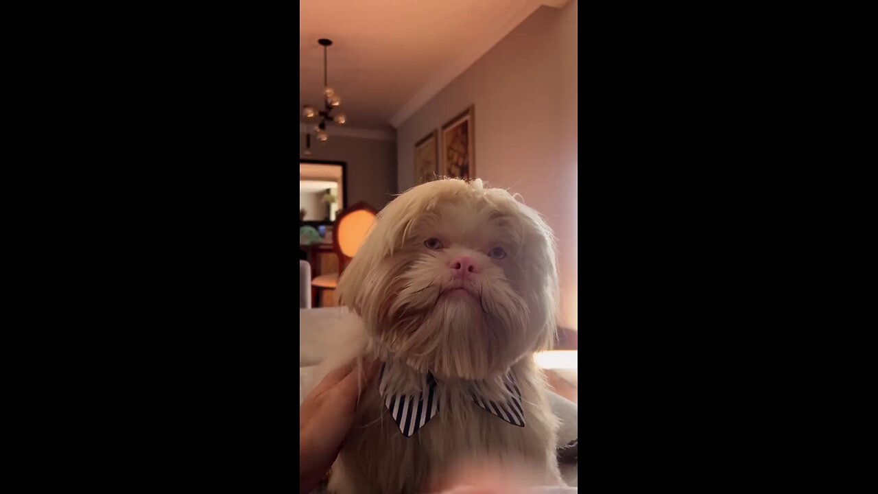 What would you name him?2🤗