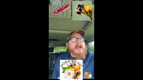 Tuesday Bees and strawberries.