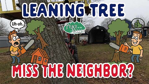 Property Line Tree - Will we hit the Neighbor?