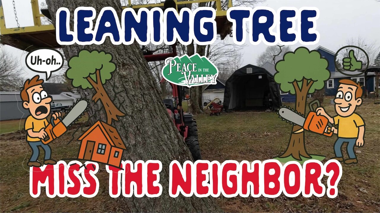 Property Line Tree - Will we hit the Neighbor?