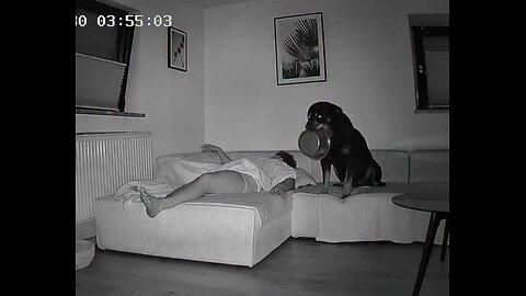 when you forgot to feed your dog