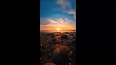 Why Were Dolphin Assisted Births Prohibited?